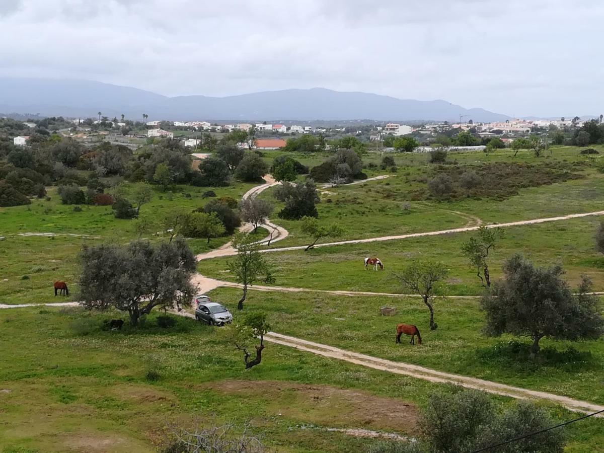 Mar E Serra Apartment ألفور المظهر الخارجي الصورة